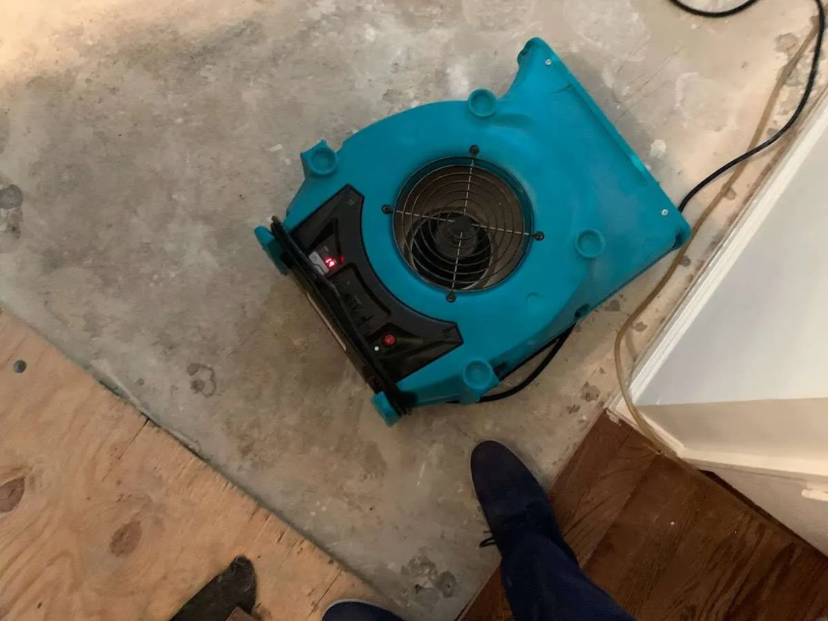 Air mover drying subfloor during Leak Detection & Repair in Taylorville
